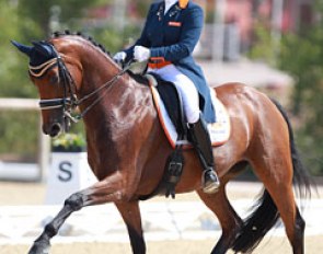 Dana van Lierop on Equestricons Walkure