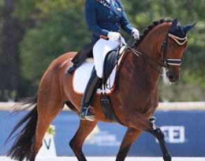 Dana van Lierop on Equestricons Walkure