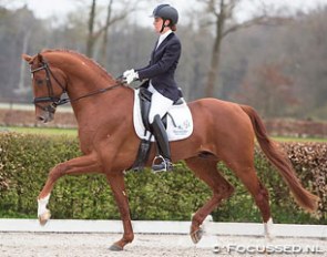 Natascha Bernoski on Fidelity at the first 2015 Dutch WCYH Selection trial in Ermelo :: Photo © Focussed.nl