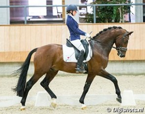 Femke de Laat and Gigolo K win the 4-year old division at the 2015 Dutch Young Horse Championships :: Photo © Digishots