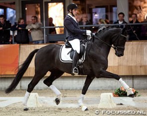 Severo Jurado Lopez on Grand Galaxy Win T at the first leg of the 2015-2016 KWPN Stallion Competition in Ermelo :: Photo © Focussed
