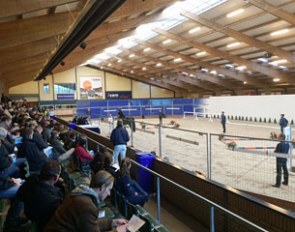 The KWPN stallion pre-selection in full swing at the KWPN headquarters in Ermelo :: Photo courtesy KWPN