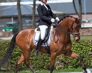 Lotje Schoots and Euripides (by Jazz x Riverman) at the Dutch WCYH selection trial :: Photo © Focussed.nl