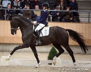 Marieke van der Putten and Toto Jr. at the 2015 KWPN Stallion Competition in Ermelo :: Photo © Focussed.nl