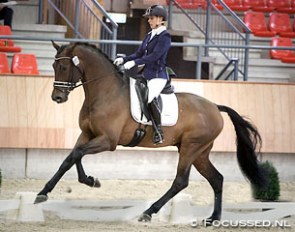 Mirelle van Kemenade on Ferdinand at the Ermelo leg of the 2015-2016 KWPN Stallion competition :: Photo © Focussed