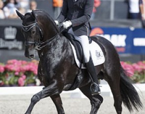 Diederik van Silfhout on the breeding stallion Cupido (by Daddy Cool x Jazz) at the 2015 Dutch Dressage Championships :: Photo © Dirk Caremans