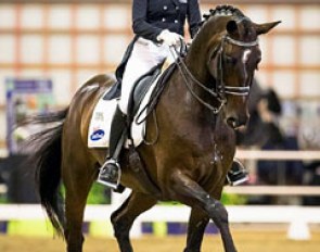 Penny Castle and Magnus Spero at the 2015 New Zealand Dressage Championships :: Photo © Libby Law