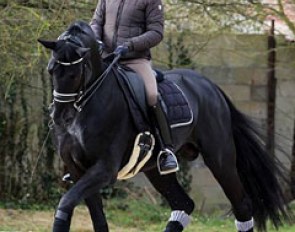Stephanie Brieussel schooling Swing de Hus