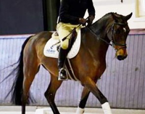 George Morris in the saddle demonstrating the basic foundation of all riding that dressage is