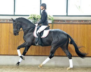 San Riant (by San Amour x Riant)