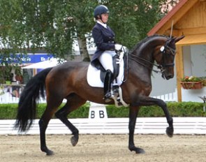 Liz Diegutis relies on Equine 74 Gastric for her performance horses