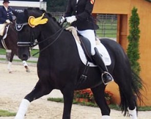 Junior rider Karen Welz on Dolunay (by Don Frederico x Warkant)