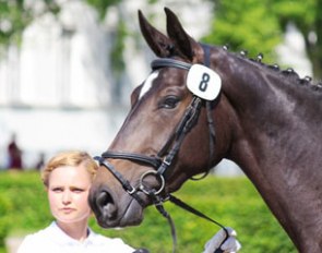 Young breeders unite for the 2015 German Young Breeders Championships at the Graditz State Stud