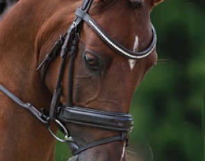 Ico van de Beekerheide