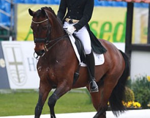 Daniel Bachmann took over the ride on Loxana from Maria Anita Andersen. Daniel showed incredible sensible riding on the bay mare who still gets sour in the half passes and tempi's but looked more willing to please in general