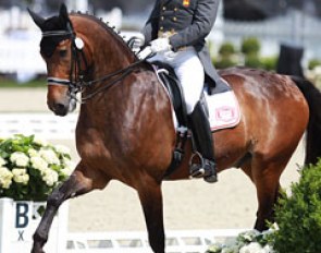 Cristobal Belmonte on Diavolo de Laubry