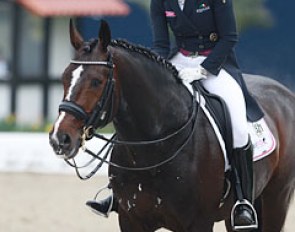 A relaxed and happy Spirit of the Age OLD leaves the show ring on the long rein in walk :: Photo © Astrid Appels