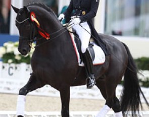 Susan Pape-Draper on Harmony's Don Noblesse :: Photo © Astrid Appels