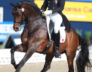 French Ludovic Henry achieves a CDI personal best score on After You at the 2015 CDI Hagen :: Photo © Astrid Appels