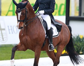 Spanish Severo Jurado Lopez on NOH's Daijoubo. The 9-year old Danish warmblood still appeared green at GP as he got slow behind in the extended trot and hollowed the back too much in passage