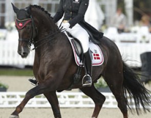 Anna Kasprzak and Donnperignon at the 2015 CDIO Hagen
