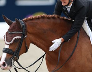 Swiss Ramona Schmid pats her Holsteiner bred Honeur (by Harley N x Linaro)
