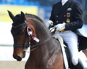 Hubertus Schmidt and Sammy Deluxe at the 2015 CDI Hagen :: Photo © Astrid Appels