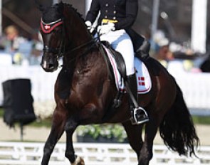 2015 Nordic Baltic Under 25 champion Carina Nevermann Torup on Lykkes De Niros (by De Noir x Sidney)
