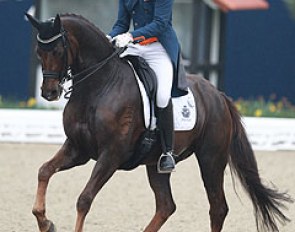Diederik van Silfhout on his new rising Grand Prix horse Bonzango (by Jazz x Contango), the full brother to Minderhoud's Tango. Bonzanjo has a lovely silhouette in passage but crosses behind and in front in piaffe