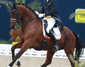 Thomas Wagner's Amoricello is a big lofty mover, but still needs to improve on staying closed and connected through back and in the frame. 