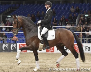 Andreas Helgstrand and Zoul Mate at the 2015 Danish Warmblood Stallion Licensing :: Photo © Ridehesten