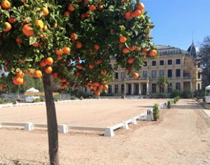 The main show ring at the 2015 CDI Jerez de la Frontera :: Photo © Peter Holler