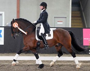Jessica Wisdom and North Forks Cardi at the 2015 CDI Langley :: Photo © Totem