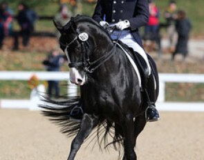 James Koford and Doctor Wendell MF at the 2015 U.S. Dressage Finals :: Photo © Sue Stickle