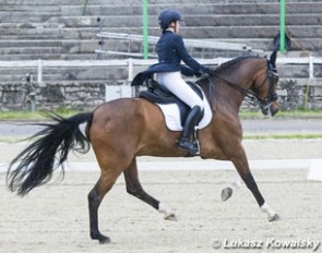 Alice Redaelli on Bonaire van de Mottelhoeve