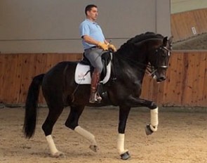 Antonio Diaz Porras schooling Sandronnerhall at their base in Madrid, Spain