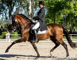 Jose Daniel Martin Dockx on Hampton Green Farm's Grandioso at the 2015 CDI Madrid :: Photo © Top Iberian