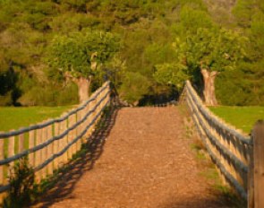 Miles of bridle paths at Es Fangar