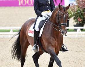 Rose Mathisen and Zuidenwind at the 2015 CDI Mannheim :: Photo © Karl Heinz Frieler