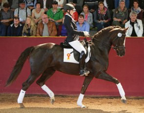 Rihanna became the top seller at the 2015 Marbach Sport Horse Auction