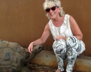 Finnish judge Tiina Karkkolainen meets a 40-year old turtoise who wanted to make acquaintence with her after  a competition and clinic in Mauritius. "He was very friendly and sweet," said Tiina