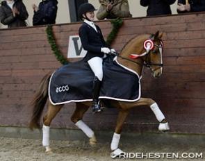 Sara Aagaard Hyrm and FB Gangster at the 2015 Ecco Cup Finals :: Photo © Ridehesten