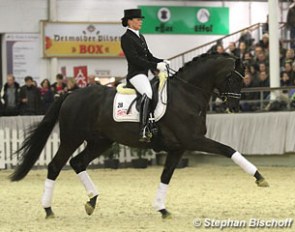 Kristina Sprehe on Gestut Sprehe's Trakehner breeding sensation of 2014, Millennium. He sired the Oldenburg and Trakehner Licensing Champion as well as several premium stallions all around Germany :: Photo © Stephan Bischoff