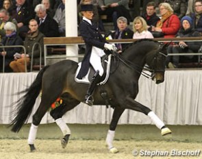 Caroline Wilm on Elfado