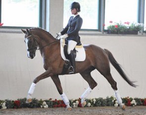 DSP Quintus (by Quaterback x Hertug)