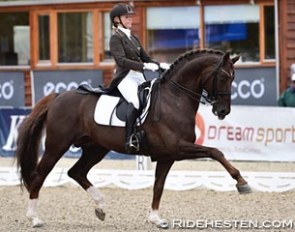 Lotte Skjaerbaek and Skovens Rafael at the 2015 CDI Odense :: Photo © Ridehesten