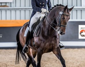 Mary Hanna and Umbro at the 2015 CDI Orange :: Photo © Stephen Mowbray