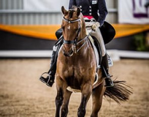 Elisabeth Hulin and Moscow are dominating the young riders' division