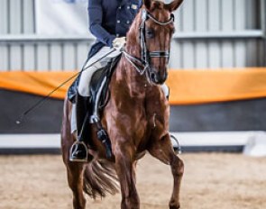 Elliot Patterson and Boronia HG took the top spot in the national Advanced 5.1 test with a score of 70.36%
