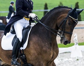 Anna Leena Meller on Mauser